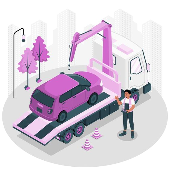 Lotus Nakliyat Hakkında